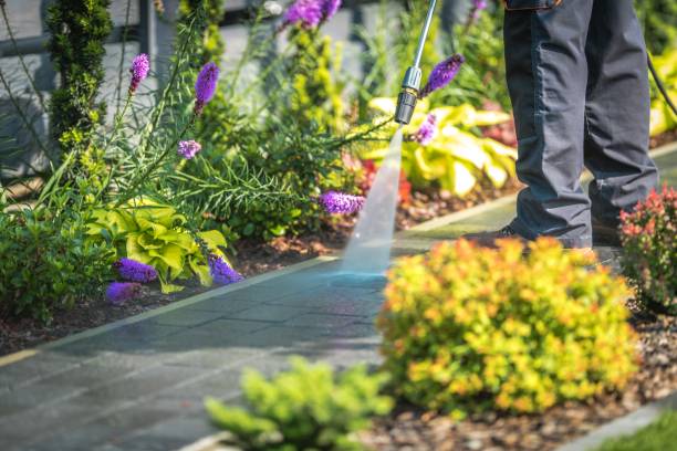 Best Driveway Pressure Washing  in Forsyth, MO