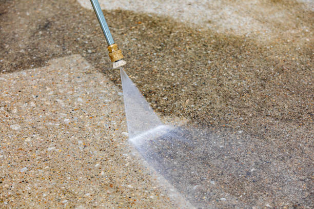 Best Animal Enclosure Cleaning  in Forsyth, MO