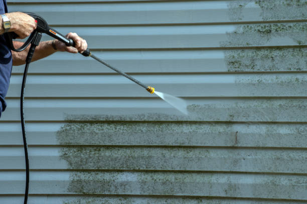 Best Building Exterior Washing  in Forsyth, MO