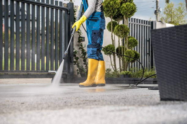 Best Residential House Exterior Washing  in Forsyth, MO