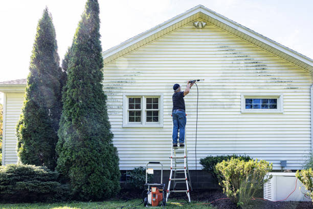 Best Graffiti Removal  in Forsyth, MO